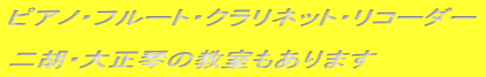 ピアノ・フルート・クラリネット・リコーダー  二胡・大正琴の教室もあります